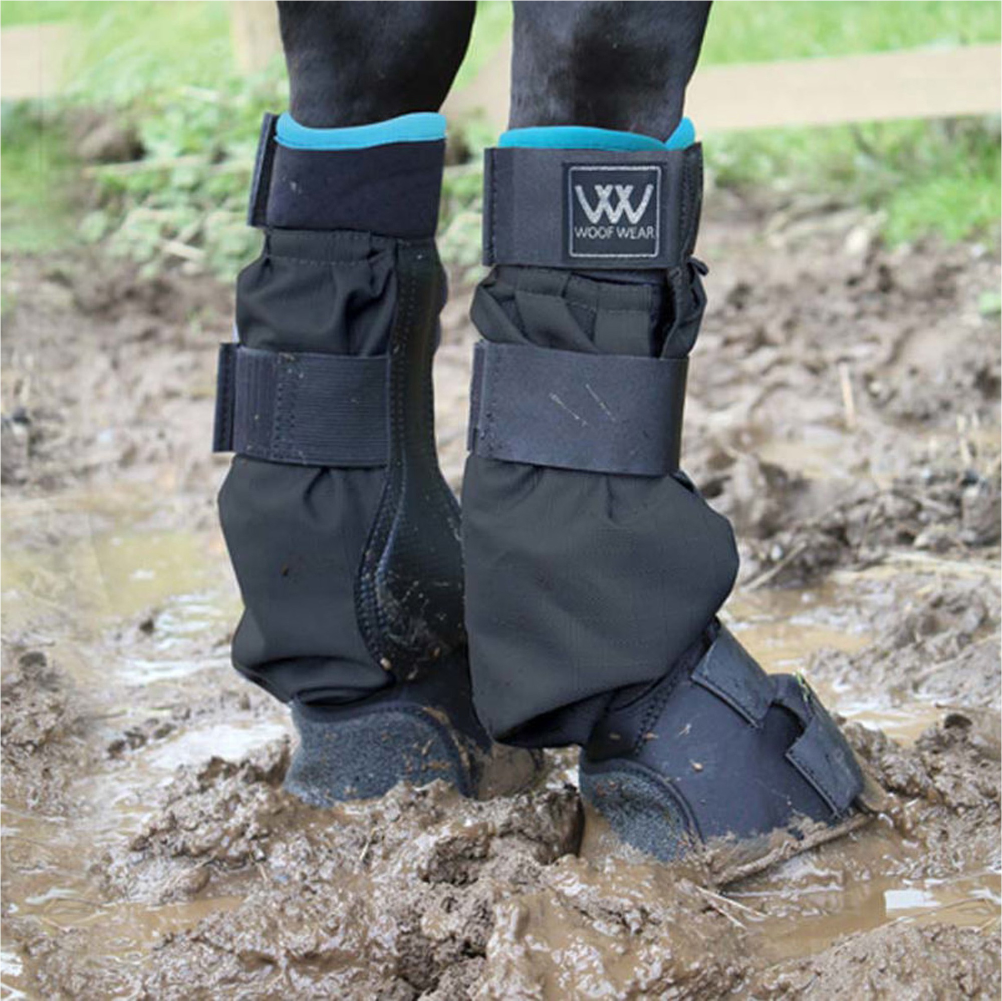 Woof Wear Mud Fever Boots WB0064 - Black / Turquoise